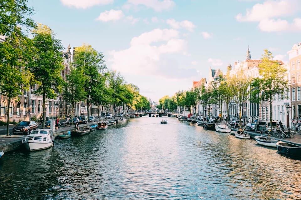 Boats moored along a tree-lined canal